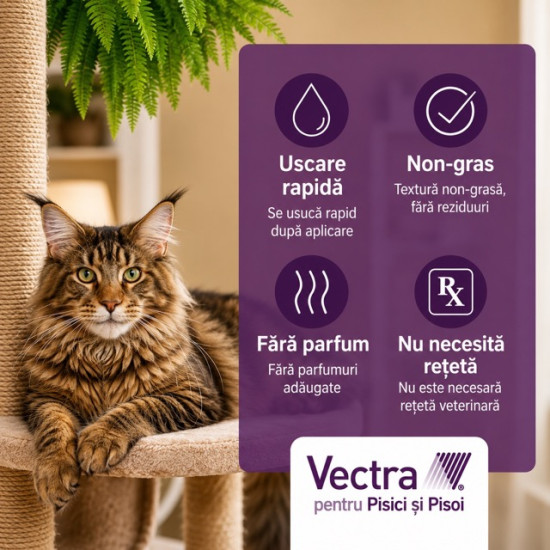 Vectra Felis Soluție Spot-On pentru Pisici – Tratament Eficient Împotriva Puricilor